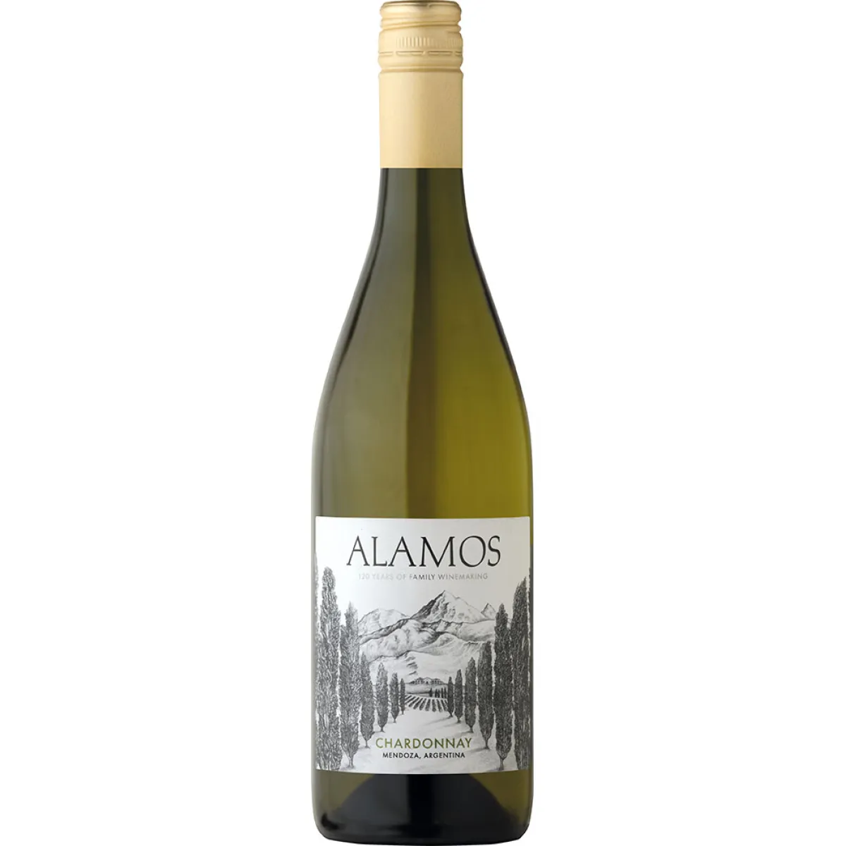 Alamos Chardonnay Weißwein trocken 0,75 l | 2025