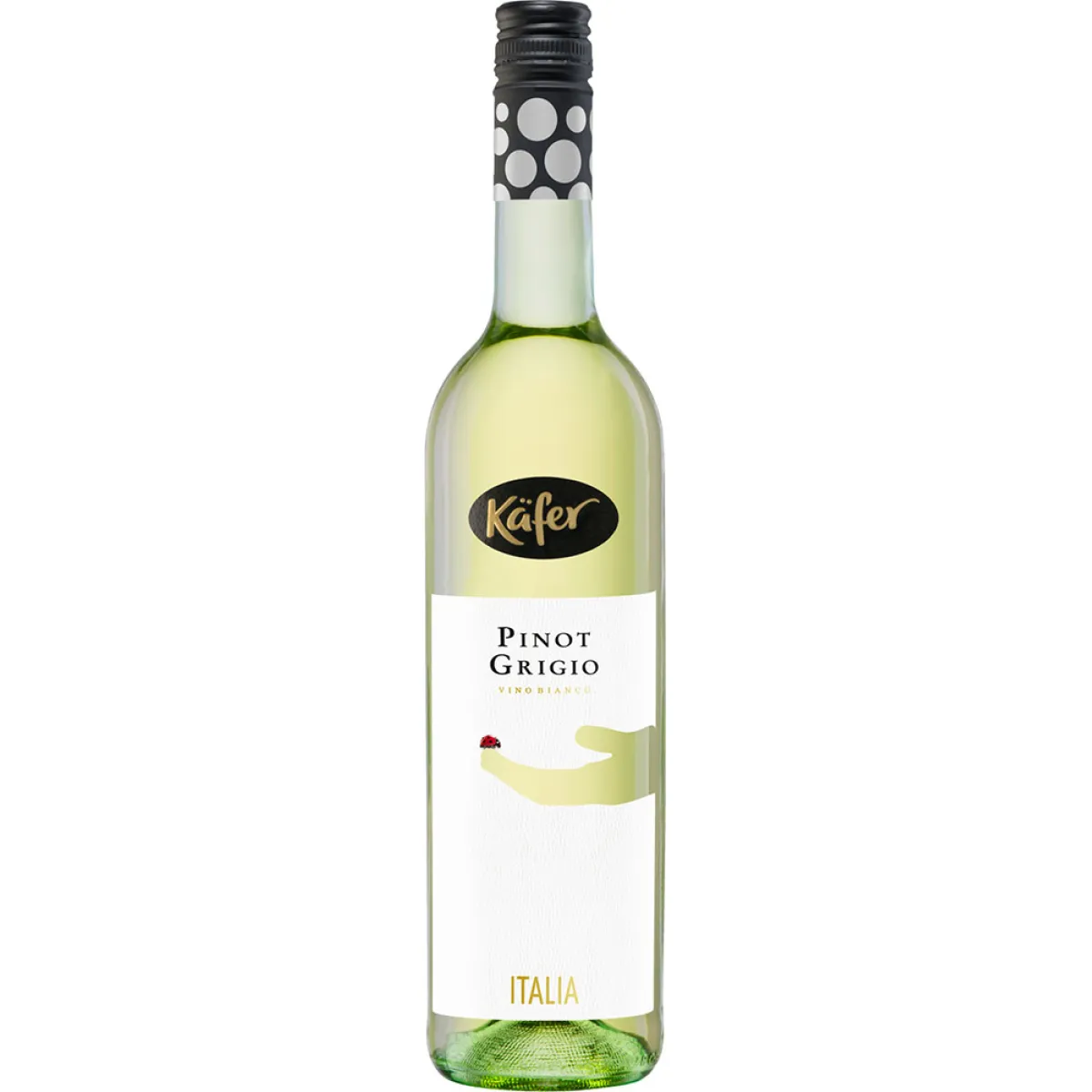 Käfer Pinot Grigio Weißwein trocken 0,75 l | 2024