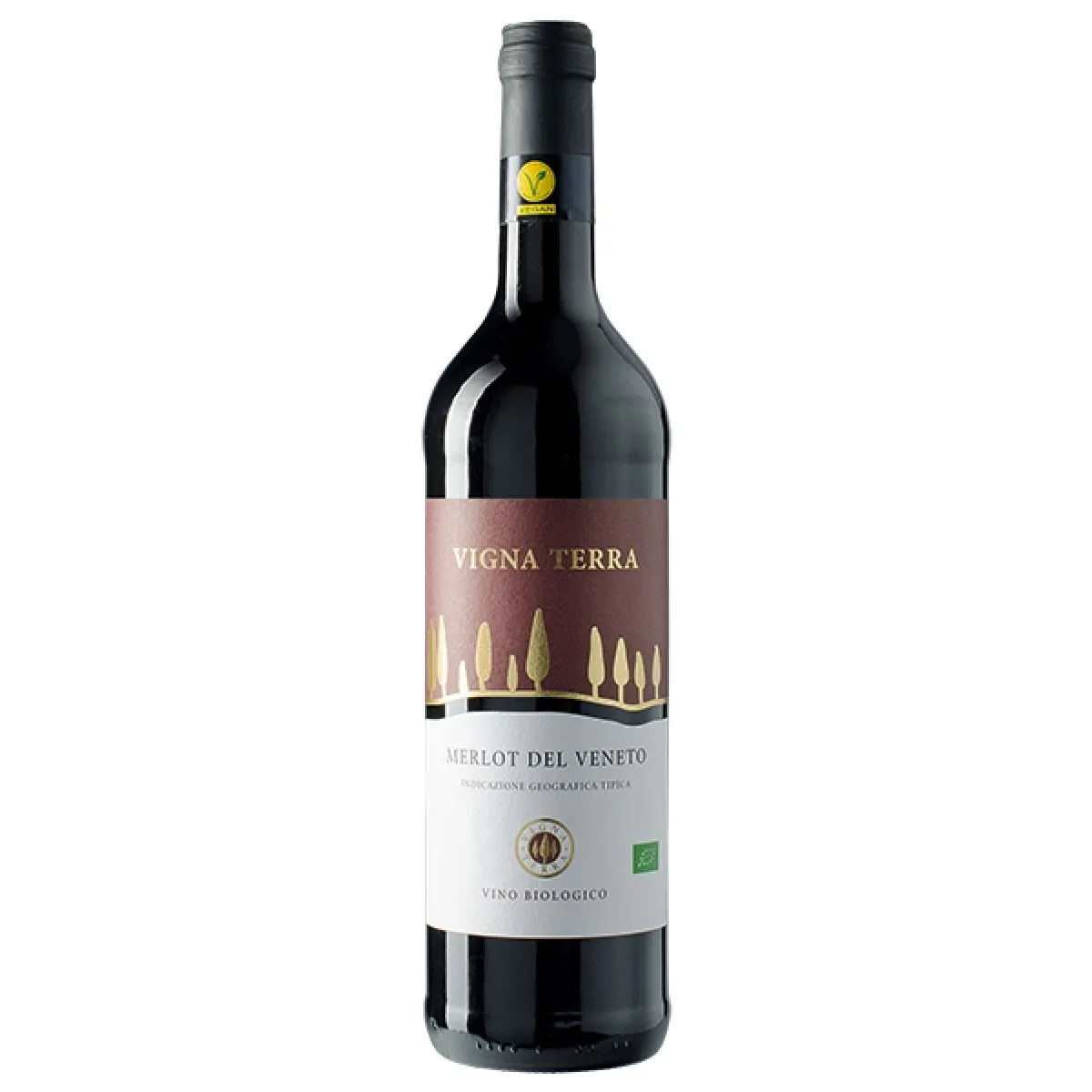 Vigna Terra Merlot Bio/Vegan Rotwein trocken 0,75 l | 2021