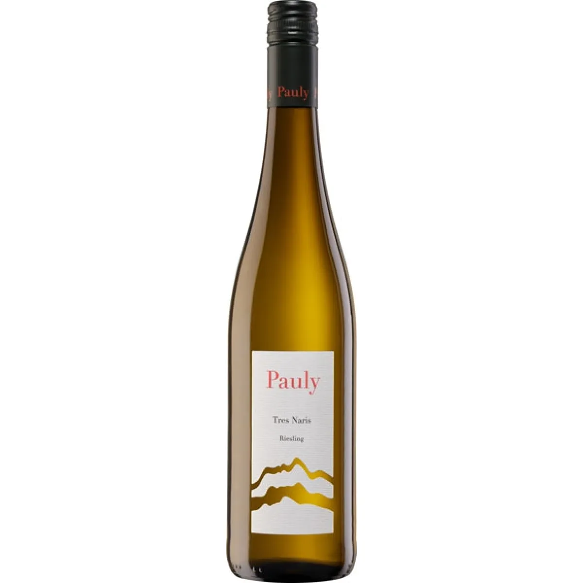 Weingut Axel Pauly Tres Naris Riesling Vegan Weißwein trocken 0,75 l | 2023