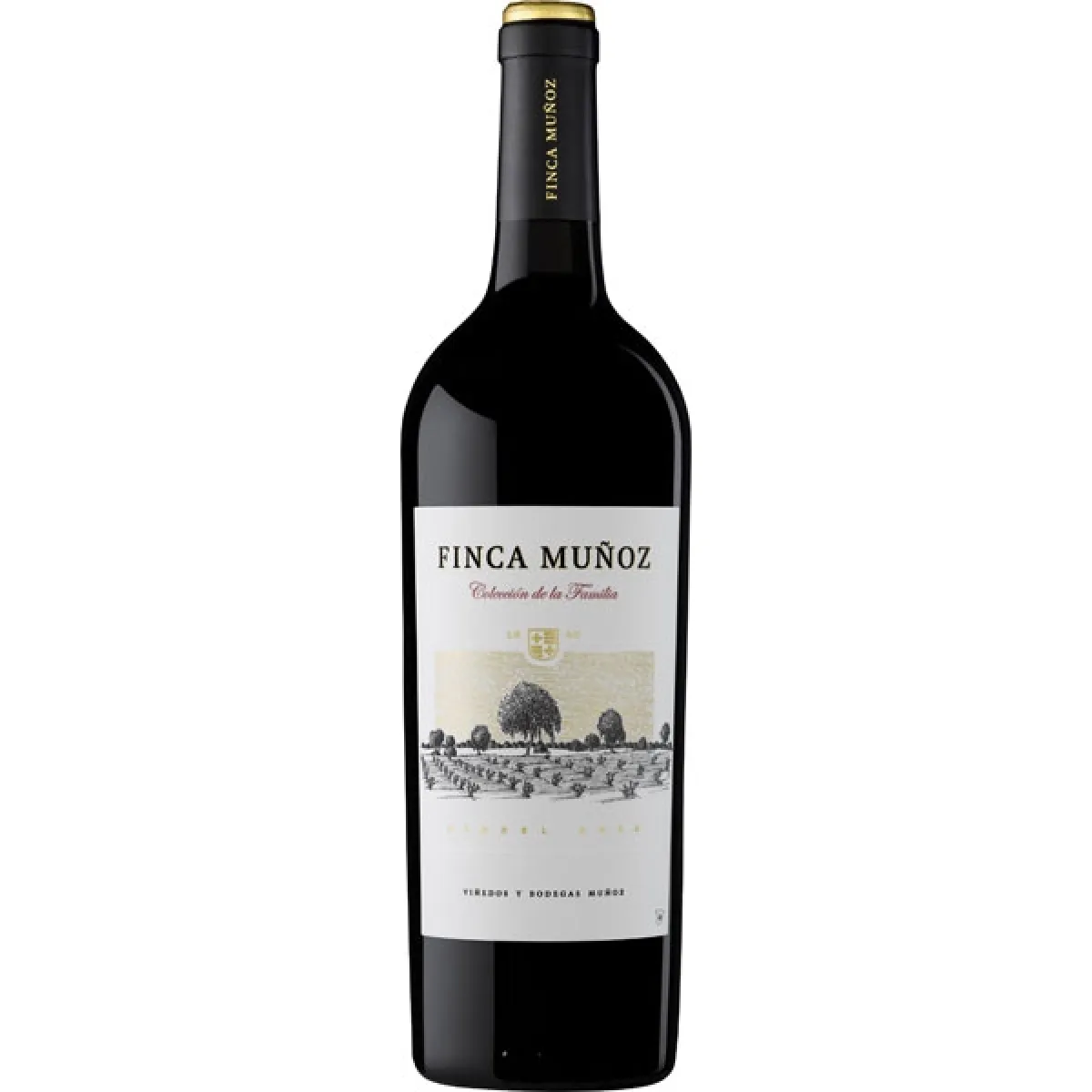 Finca Muñoz Tinto Rotwein trocken 0,75 l | 2022