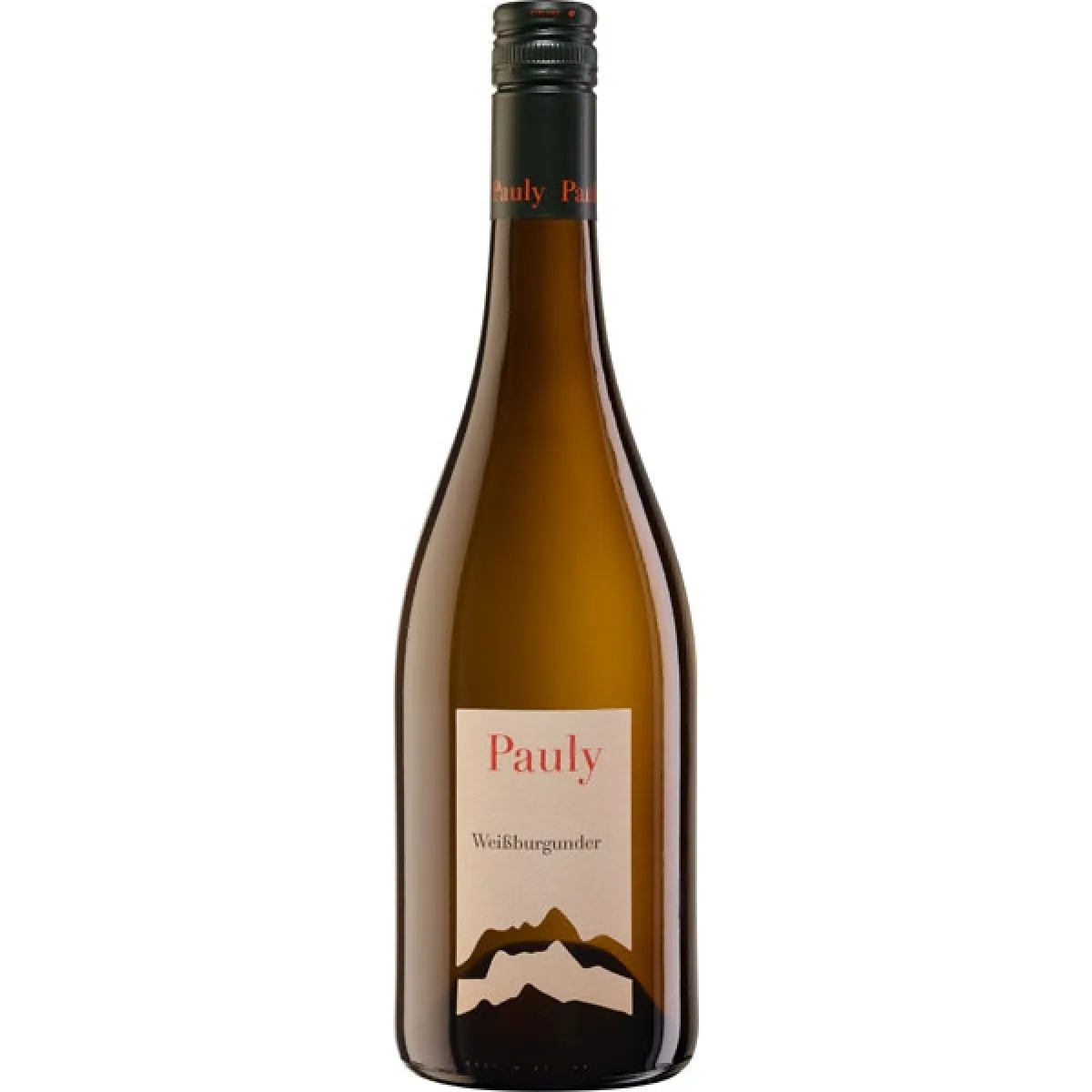 Weingut Axel Pauly Weißburgunder Vegan Weißwein trocken 0,75 l | 2023