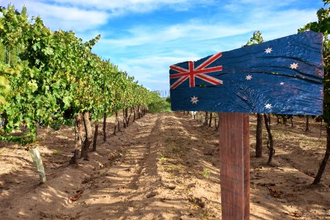 Wein Rebsorte Australien