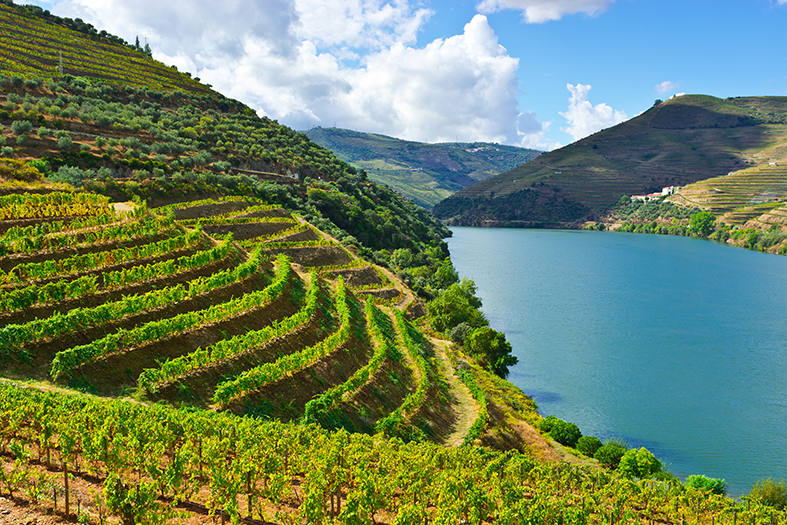 Wein Portugal Douro Tal