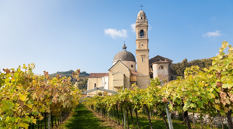 Italien Weingebiet Veneto