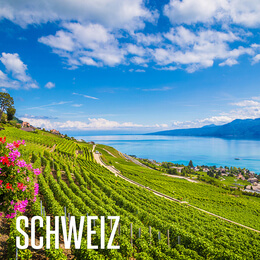 Wein aus der Schweiz