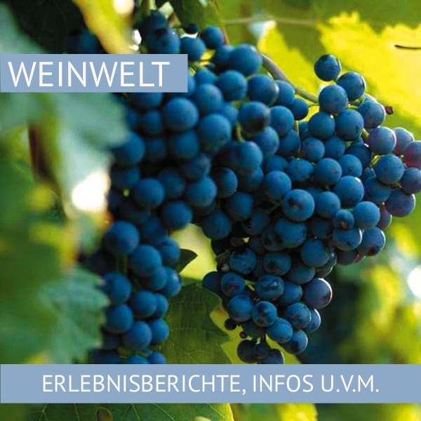 Weinwelt