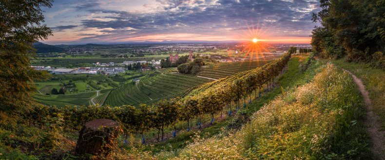 Baden Weinregion