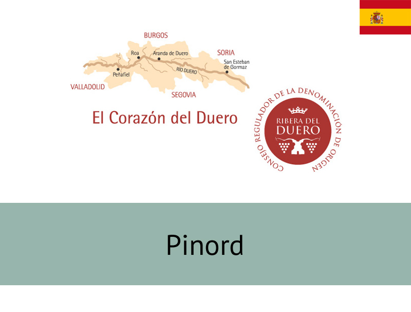 Pinord