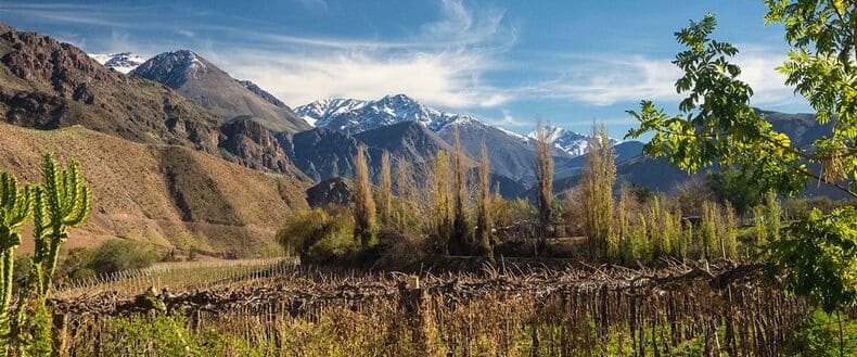 Weinanbau in Chile