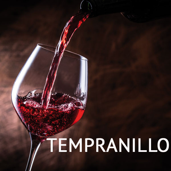 Weinpaket Tempranillo