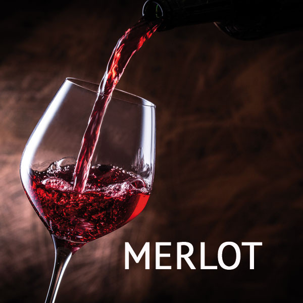 Weinpaket Merlot