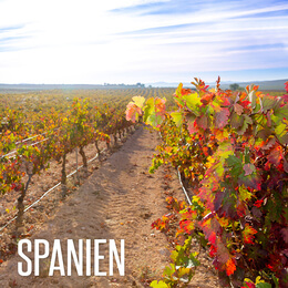 Wein aus Spanien