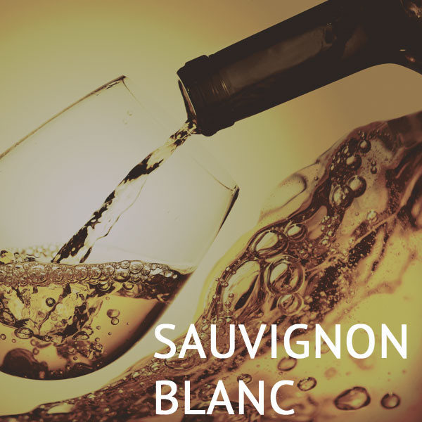 Weinpaket Sauvignon Blanc